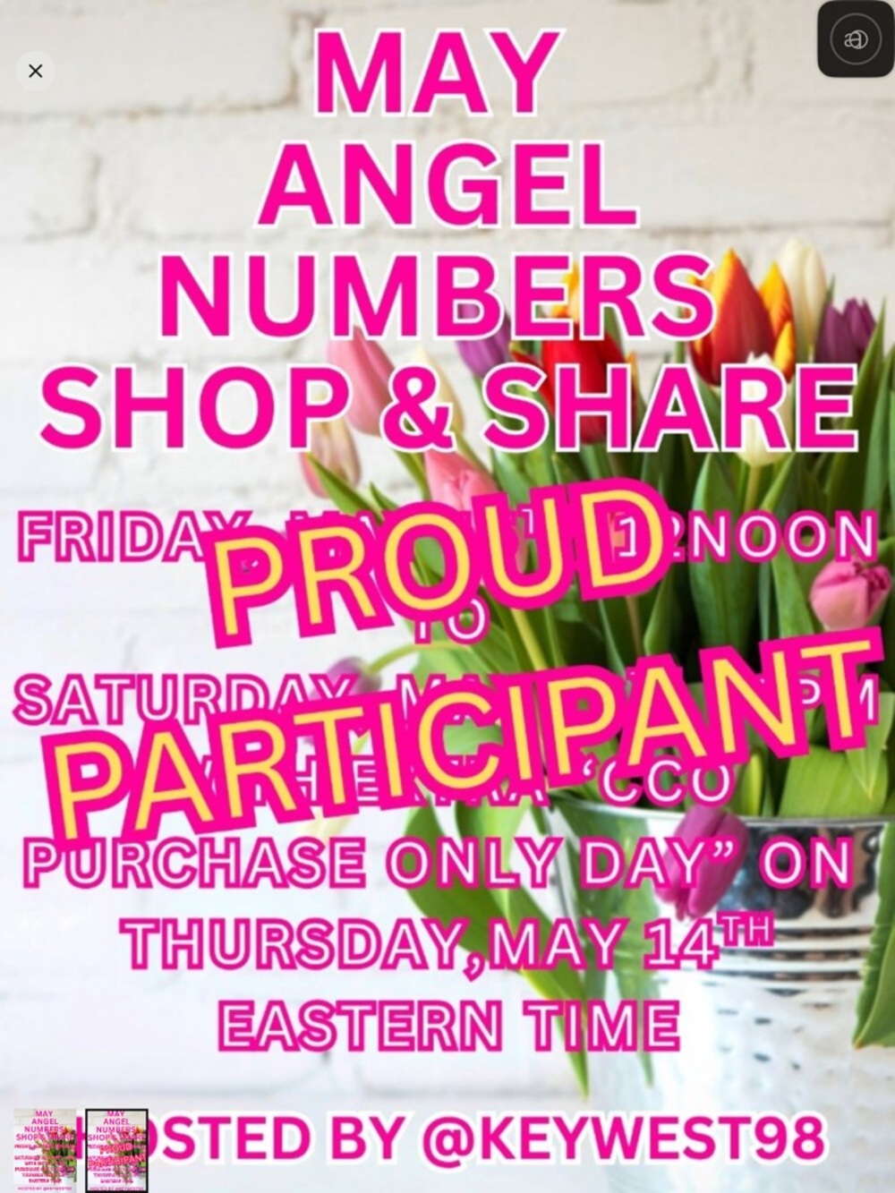 Angel Participant